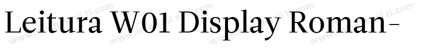 Leitura W01 Display Roman字体转换